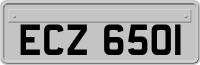 ECZ6501