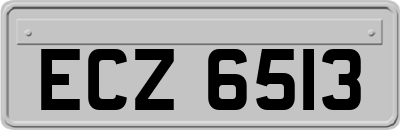 ECZ6513