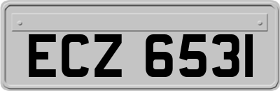 ECZ6531
