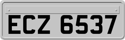 ECZ6537
