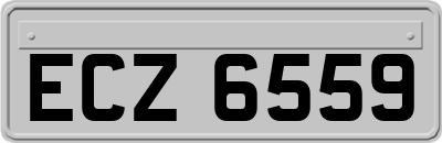 ECZ6559
