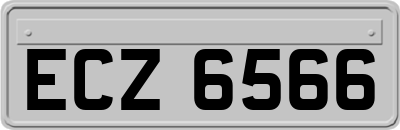 ECZ6566