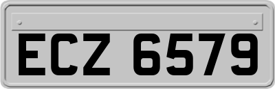 ECZ6579