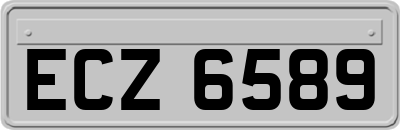 ECZ6589
