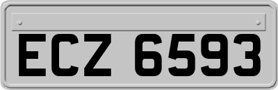 ECZ6593