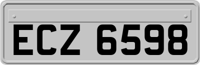 ECZ6598