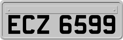 ECZ6599