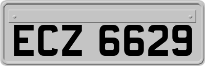ECZ6629