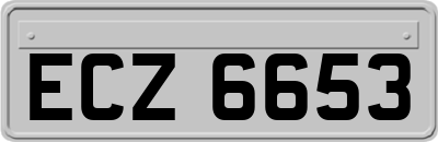 ECZ6653