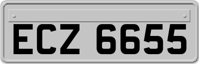ECZ6655