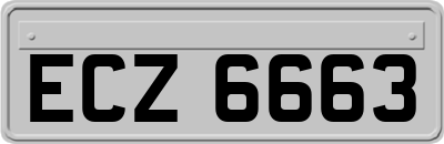 ECZ6663