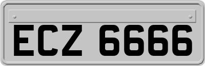 ECZ6666