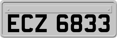 ECZ6833