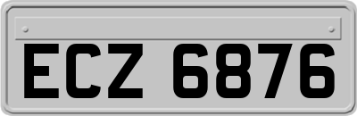 ECZ6876