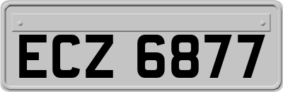 ECZ6877