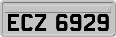 ECZ6929