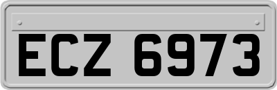 ECZ6973