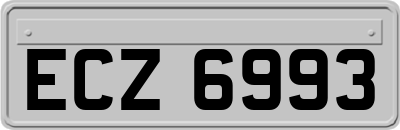 ECZ6993