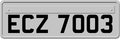 ECZ7003