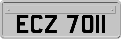 ECZ7011
