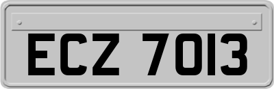 ECZ7013