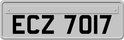 ECZ7017