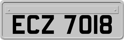 ECZ7018