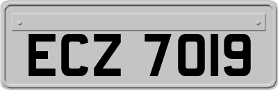 ECZ7019