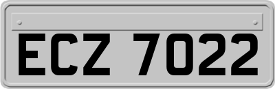 ECZ7022