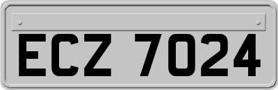 ECZ7024