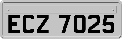 ECZ7025