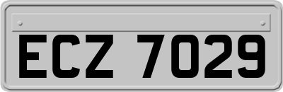 ECZ7029