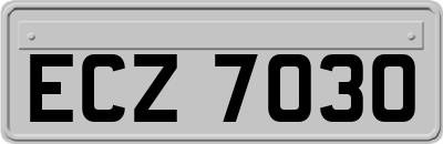 ECZ7030