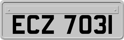 ECZ7031