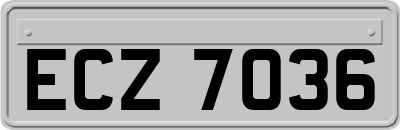 ECZ7036