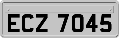 ECZ7045