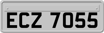 ECZ7055