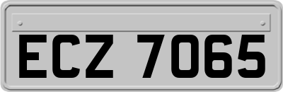 ECZ7065