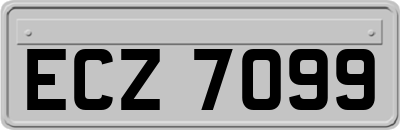 ECZ7099