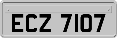 ECZ7107