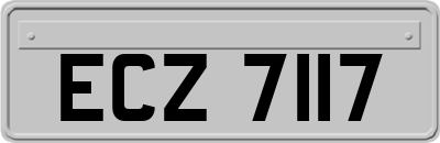 ECZ7117