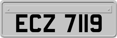 ECZ7119