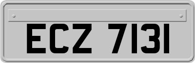 ECZ7131