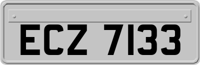 ECZ7133