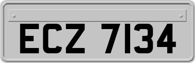 ECZ7134