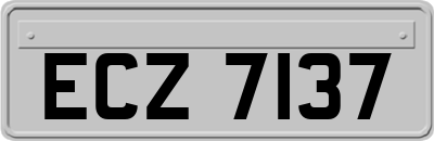 ECZ7137