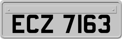 ECZ7163