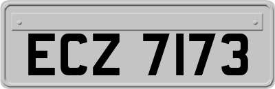 ECZ7173