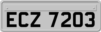 ECZ7203