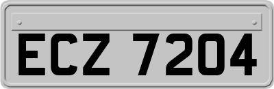 ECZ7204